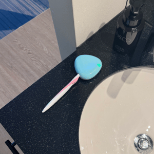 SteriLush™ Travel UV Toothbrush Sanitiser Case